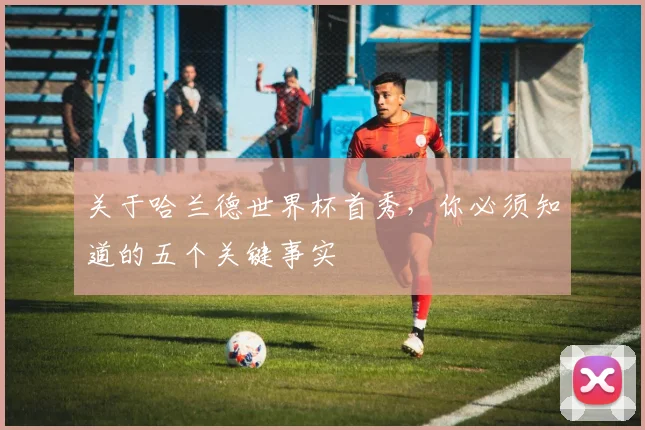 关于哈兰德世界杯首秀，你必须知道的五个关键事实